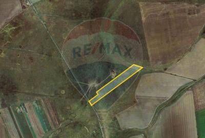 Teren agricol extravilan de 50000 mp, în Est - 15