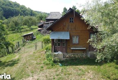 Teren de 6200 mp, în Cicănești - 13