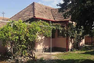 Teren de 12000 mp, în Ierbuș - 8