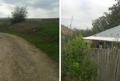 Casă cu 3 camere cu Teren 3487 Mp în Tănăsoaia - 2