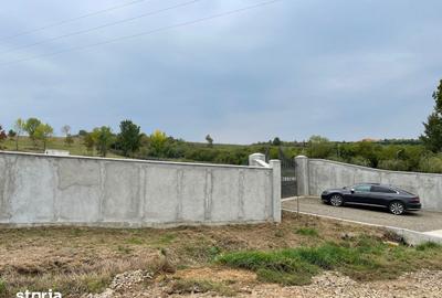 Teren de 11600 mp, în Viile Satu Mare - 10
