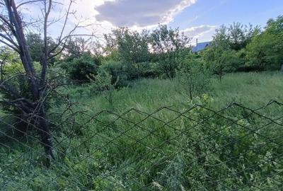 Teren de 210 mp, în Doicești - 3