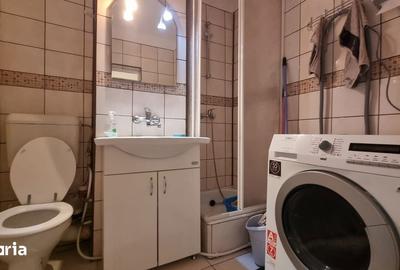 Apartament cu 2 camere în Șega - 7