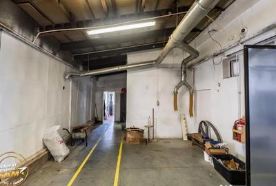 Spațiu comercial, de 1,341 mp, în Valea Crișului - 9