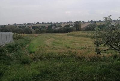 Casa de vanzare + teren 4700 m2 - 4