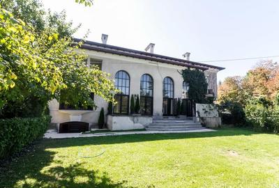 Birou, 600 mp în Capitale