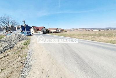 Teren 27.000 mp.deschidere la 2 drumuri ,75 euro mp. - 4