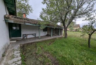 Casa batraneasca teren - Cerna (jud. Tulcea) - 8