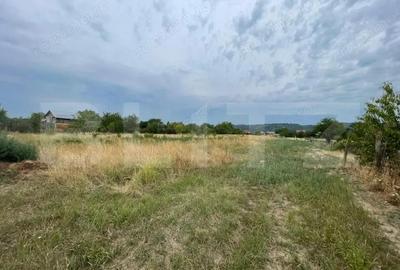 Parcele de teren intravilan de vanzare zona ?i?e?ti, Targu Jiu - 2
