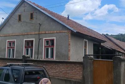 Casa de vanzare la tara