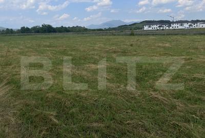 Teren extravilan 1200 mp Dorolea, aproape de Manastire - 4