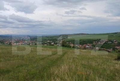 Teren extravilan 1248 mp in Copaceni! Oportunitate investiti - 3