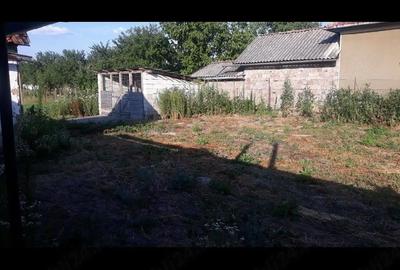 Casă cu 2 camere cu Teren 1439 Mp în Cermei - 12