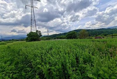Teren de 500 mp, în Periferie - 1