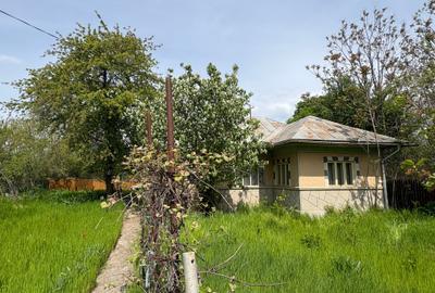 Teren intravilan de 5591 mp, în Gruiu - 3