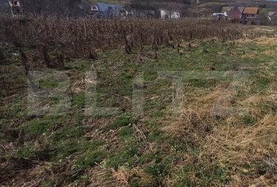 Teren de 1200 mp, în Viișoara - 1