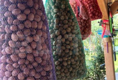 Teren de 20000 mp, în Central