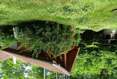 Casă cu 2 camere în Central - 8