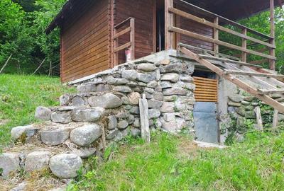 Cabana Bradulet s-a VANDUT - 6