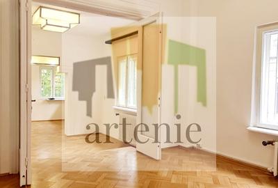 Pache Protopopescu- Plantelor parter in vila - 10