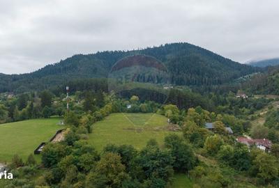 Spațiu comercial, în Poiana Angelescu - 10