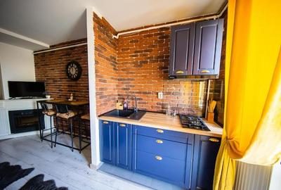 Persoana fizica apartament 2 camere Podu Ros Palas - 12