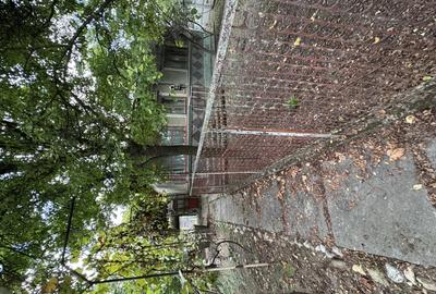 Casa batraneasca renovabila , 1000mp teren 30.000 euro negociabil Balteni - 4