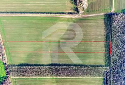 Teren langa Manastirea Sfantul Nicolae Sitaru - 4