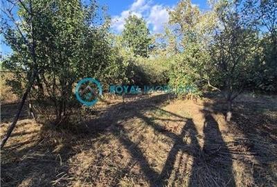 Royal Imobiliare - Vanzare Vila Zona Paulesti - Gageni - 41