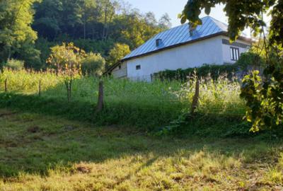 Teren de 7000 mp, în Ștubeie Tisa - 6