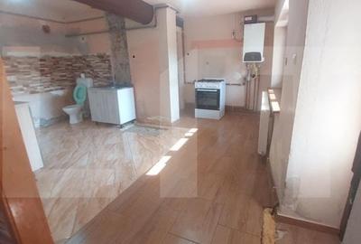 Blitz va ofera spre vanzare casa in Vladimirescu - 10