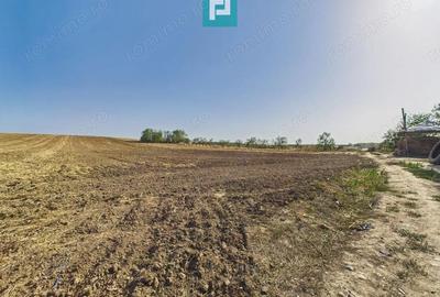 TEREN REMETEA MICA, JUDE?UL TIMI? - 3