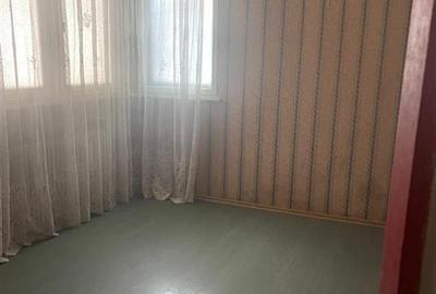 Duplex cu 10 camere cu Canalizare în Pache Protopopescu - 24