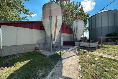 Spațiu industrial, de 5,000 mp, în Tișița - 25