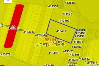 Teren agricol extravilan de 21300 mp, în Belinț - 1