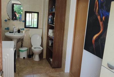 Casa pe lac de vanzare! - 18