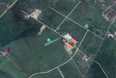 Teren agricol 1 ha, Sânandrei, - 5