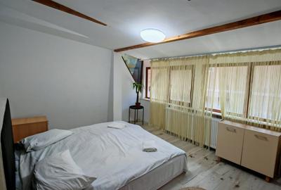 Vila 10 camere,pretabil compartimentare in 2 unitati separate,ASTRA. - 7