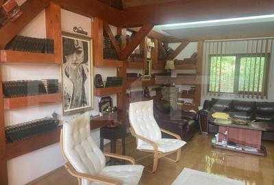 Vila in stil elve?ian Campulung Moldovenesc, 155 mp - 15