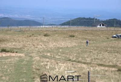 Teren de 1500 mp, în Paltin - 5