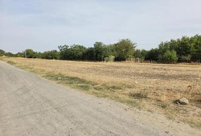 Teren de 2000 mp, în Cuza Vodă - 1