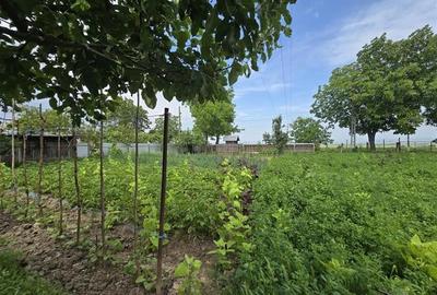 Casă individuală cu 6 camere cu Canalizare în Bahna - 6