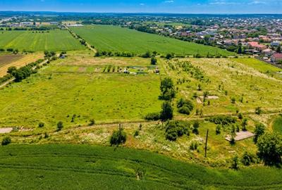 Teren Construcții intravilan de 3900 mp, în Bragadiru - 13