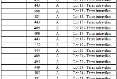 Teren Construcții intravilan de 25150 mp, în Domnești - 4