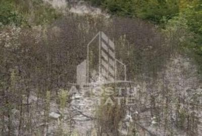 INVESTITIE CU PROFIT RAPID Padure 120+ Ani Fag & Gorun - 8