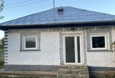 Casă cu 2 camere în Peceneaga - 8