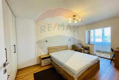 Apartament cu 2 camere decomandat în Calea Poplăcii - 13