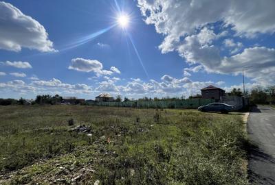 Domne?ti, Str Teiului, 515mp, intravilan, utilita?i, 29ml - 4