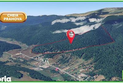 Teren de 394200 mp, în Măneciu - 4