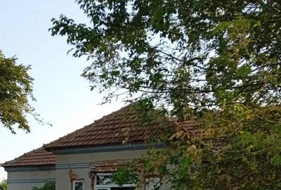Casă cu 5 camere cu Teren 1948 Mp în Central - 8